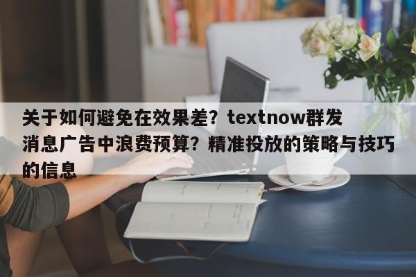 关于如何避免在效果差？textnow群发消息广告中浪费预算？精准投放的策略与技巧的信息