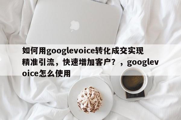 如何用googlevoice转化成交实现精准引流，快速增加客户？，googlevoice怎么使用
