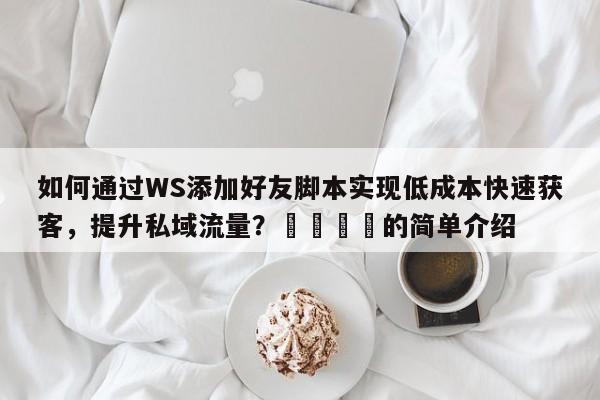 如何通过WS添加好友脚本实现低成本快速获客，提升私域流量？📈的简单介绍
