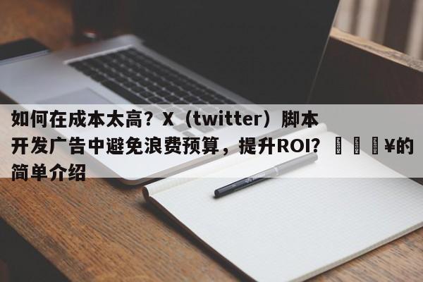 如何在成本太高？X（twitter）脚本开发广告中避免浪费预算，提升ROI？🔥的简单介绍