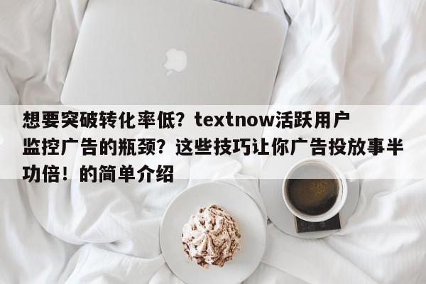 想要突破转化率低？textnow活跃用户监控广告的瓶颈？这些技巧让你广告投放事半功倍！的简单介绍