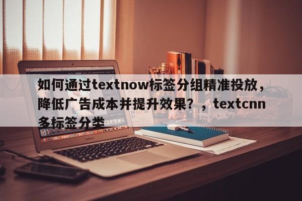 如何通过textnow标签分组精准投放，降低广告成本并提升效果？，textcnn多标签分类