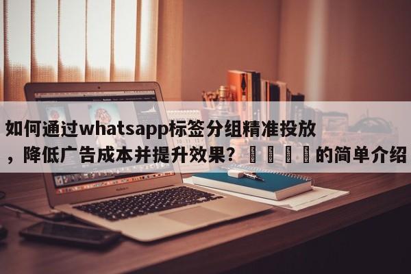 如何通过whatsapp标签分组精准投放，降低广告成本并提升效果？💡的简单介绍