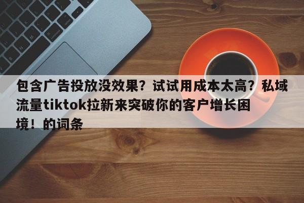 包含广告投放没效果?试试用成本太高?私域流量tiktok拉新来突破你的客户增长困境!的词条