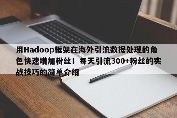用Hadoop框架在海外引流数据处理的角色快速增加粉丝！每天引流300+粉丝的实战技巧的简单介绍