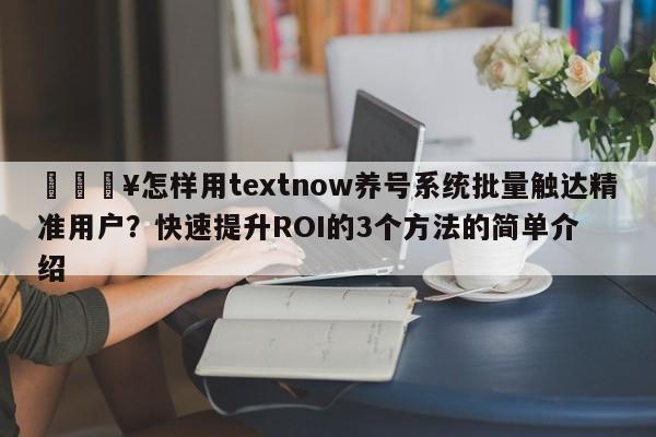 🔥怎样用textnow养号系统批量触达精准用户？快速提升ROI的3个方法的简单介绍
