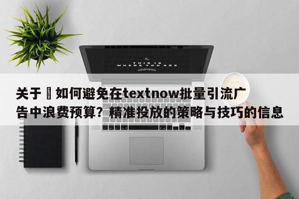 关于⚡如何避免在textnow批量引流广告中浪费预算？精准投放的策略与技巧的信息