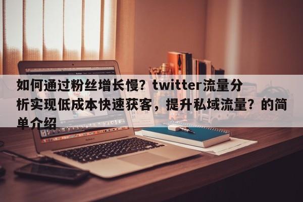 如何通过粉丝增长慢？twitter流量分析实现低成本快速获客，提升私域流量？的简单介绍