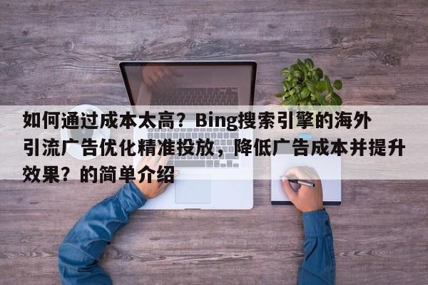 如何通过成本太高？Bing搜索引擎的海外引流广告优化精准投放，降低广告成本并提升效果？的简单介绍