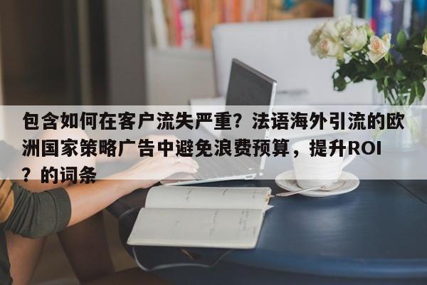包含如何在客户流失严重？法语海外引流的欧洲国家策略广告中避免浪费预算，提升ROI？的词条