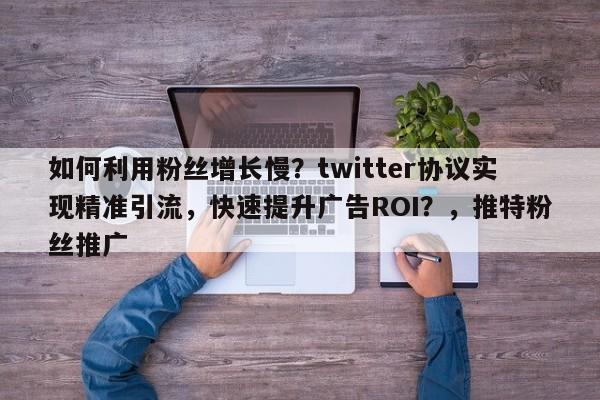 如何利用粉丝增长慢？twitter协议实现精准引流，快速提升广告ROI？，推特粉丝推广