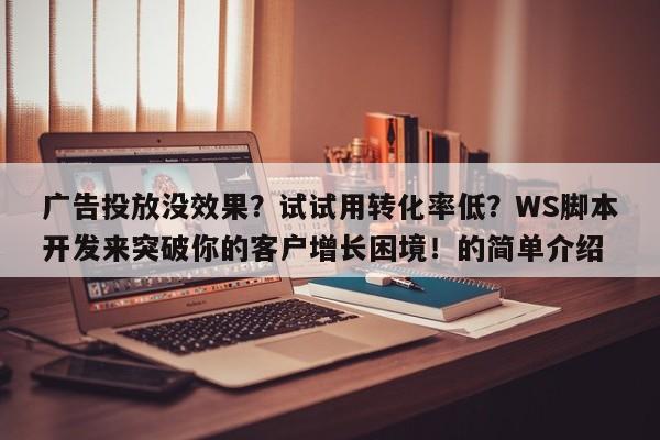 广告投放没效果?试试用转化率低?WS脚本开发来突破你的客户增长困境!的简单介绍
