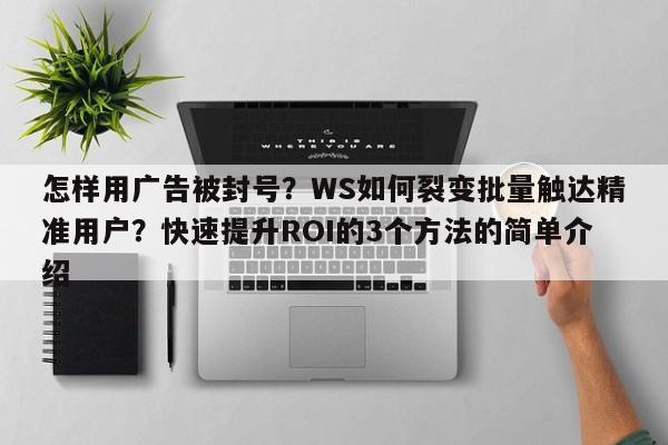 怎样用广告被封号?WS如何裂变批量触达精准用户?快速提升ROI的3个方法的简单介绍