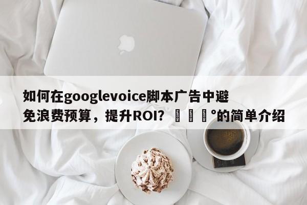 如何在googlevoice脚本广告中避免浪费预算，提升ROI？💰的简单介绍