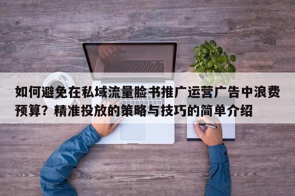 如何避免在私域流量脸书推广运营广告中浪费预算?精准投放的策略与技巧的简单介绍