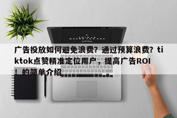 广告投放如何避免浪费？通过预算浪费？tiktok点赞精准定位用户，提高广告ROI！的简单介绍