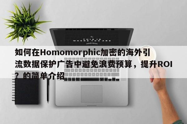 如何在Homomorphic加密的海外引流数据保护广告中避免浪费预算，提升ROI？的简单介绍