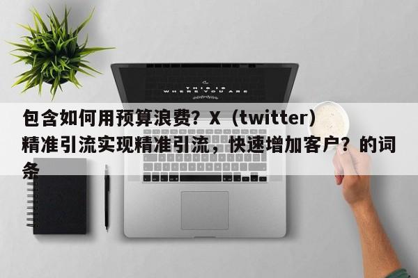 包含如何用预算浪费？X（twitter）精准引流实现精准引流，快速增加客户？的词条