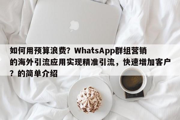 如何用预算浪费？WhatsApp群组营销的海外引流应用实现精准引流，快速增加客户？的简单介绍