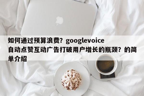 如何通过预算浪费?googlevoice自动点赞互动广告打破用户增长的瓶颈?的简单介绍