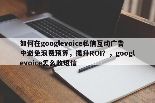如何在googlevoice私信互动广告中避免浪费预算，提升ROI？，googlevoice怎么收短信