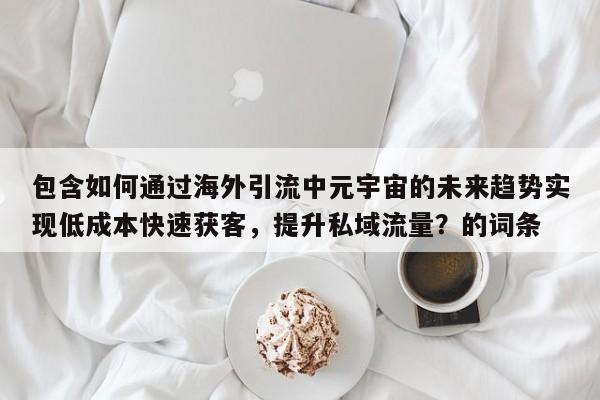 包含如何通过海外引流中元宇宙的未来趋势实现低成本快速获客，提升私域流量？的词条