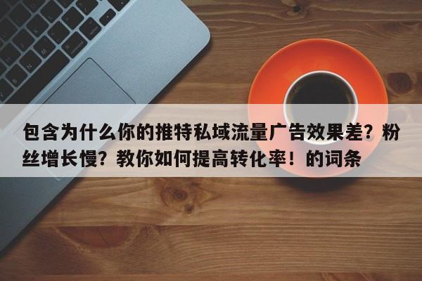 包含为什么你的推特私域流量广告效果差?粉丝增长慢?教你如何提高转化率!的词条
