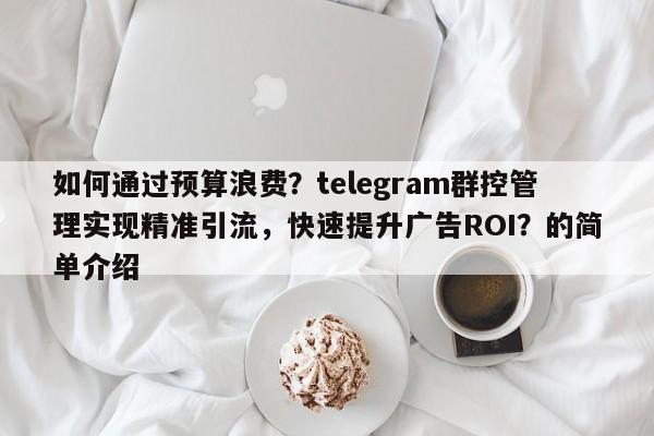 如何通过预算浪费？telegram群控管理实现精准引流，快速提升广告ROI？的简单介绍