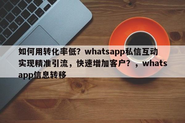 如何用转化率低？whatsapp私信互动实现精准引流，快速增加客户？，whatsapp信息转移