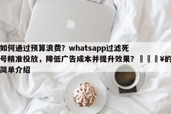 如何通过预算浪费？whatsapp过滤死号精准投放，降低广告成本并提升效果？🔥的简单介绍
