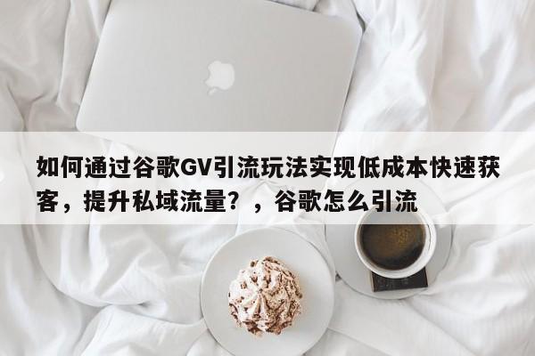 如何通过谷歌GV引流玩法实现低成本快速获客，提升私域流量？，谷歌怎么引流