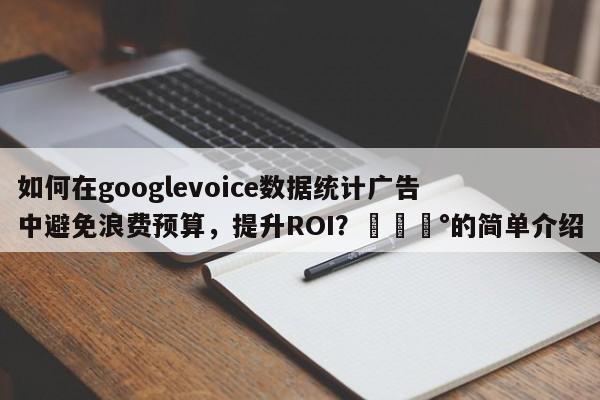 如何在googlevoice数据统计广告中避免浪费预算，提升ROI？💰的简单介绍