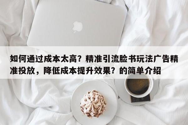 如何通过成本太高？精准引流脸书玩法广告精准投放，降低成本提升效果？的简单介绍