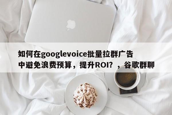 如何在googlevoice批量拉群广告中避免浪费预算，提升ROI？，谷歌群聊