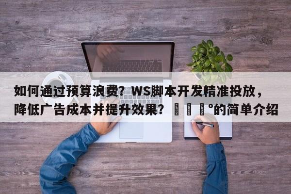 如何通过预算浪费？WS脚本开发精准投放，降低广告成本并提升效果？💰的简单介绍