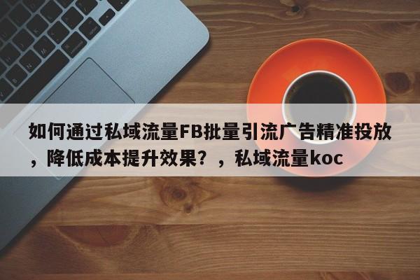 如何通过私域流量FB批量引流广告精准投放，降低成本提升效果？，私域流量koc