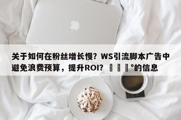 关于如何在粉丝增长慢？WS引流脚本广告中避免浪费预算，提升ROI？💰的信息
