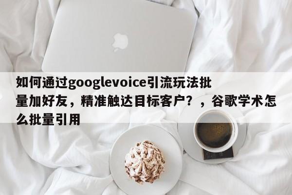如何通过googlevoice引流玩法批量加好友，精准触达目标客户？，谷歌学术怎么批量引用