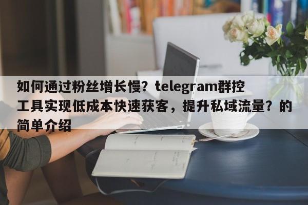 如何通过粉丝增长慢？telegram群控工具实现低成本快速获客，提升私域流量？的简单介绍