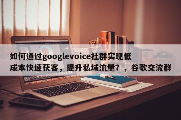 如何通过googlevoice社群实现低成本快速获客，提升私域流量？，谷歌交流群
