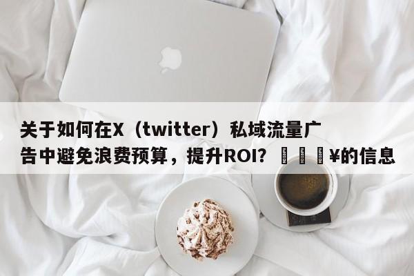 关于如何在X（twitter）私域流量广告中避免浪费预算，提升ROI？💥的信息