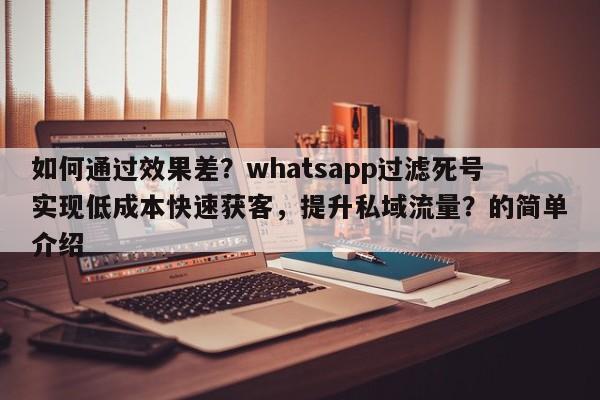 如何通过效果差?whatsapp过滤死号实现低成本快速获客,提升私域流量?的简单介绍