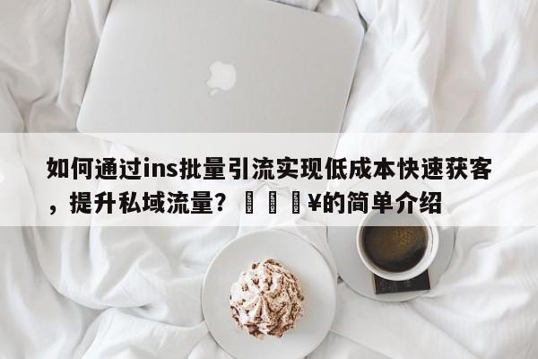 如何通过ins批量引流实现低成本快速获客，提升私域流量？💥的简单介绍
