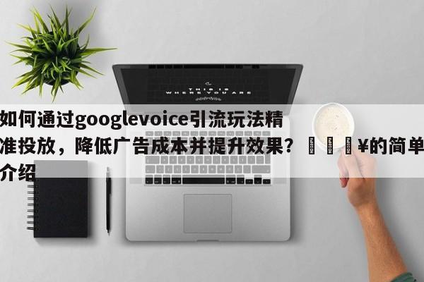 如何通过googlevoice引流玩法精准投放，降低广告成本并提升效果？🔥的简单介绍