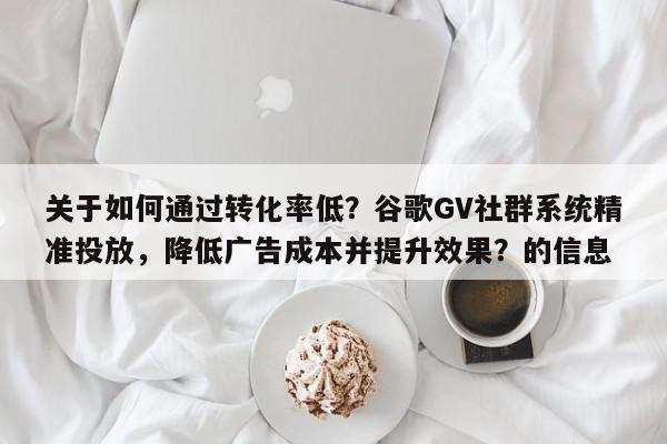 关于如何通过转化率低？谷歌GV社群系统精准投放，降低广告成本并提升效果？的信息