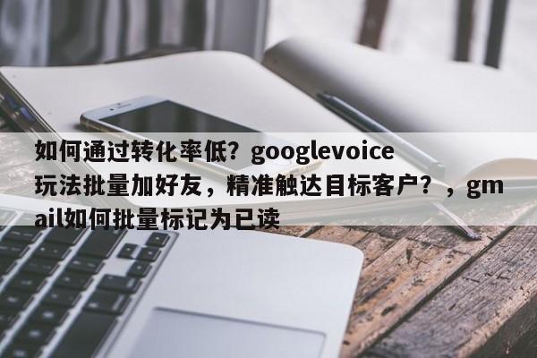 如何通过转化率低？googlevoice玩法批量加好友，精准触达目标客户？，gmail如何批量标记为已读
