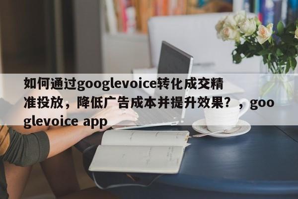如何通过googlevoice转化成交精准投放，降低广告成本并提升效果？，googlevoice app
