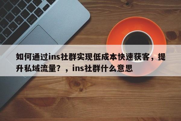 如何通过ins社群实现低成本快速获客，提升私域流量？，ins社群什么意思