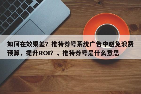 如何在效果差？推特养号系统广告中避免浪费预算，提升ROI？，推特养号是什么意思