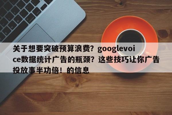 关于想要突破预算浪费?googlevoice数据统计广告的瓶颈?这些技巧让你广告投放事半功倍!的信息